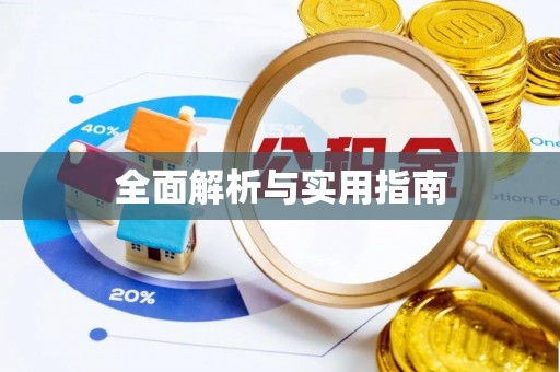 港南全面解析与实用指南