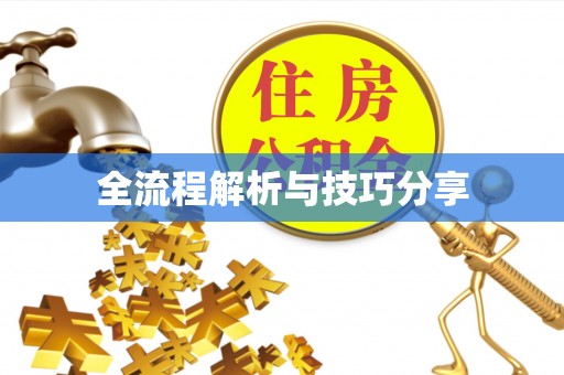 港南全流程解析与技巧分享