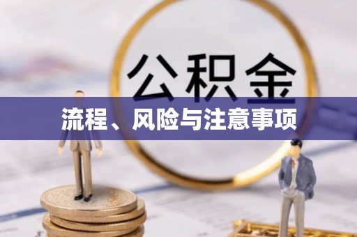 港南流程、风险与注意事项