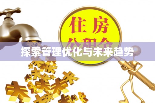 港南探索管理优化与未来趋势